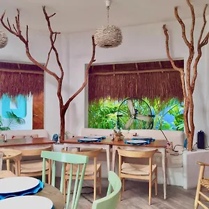 https://toto-blue-hotel-boutique.quintano-roohotels.com